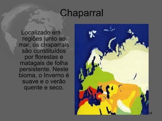 Chaparral  Localizado em regiões junto ao mar, os chaparrais são constituídos por florestas e matagais de folha persistente. Neste bioma, o Inverno é suave e o verão quente e seco. 