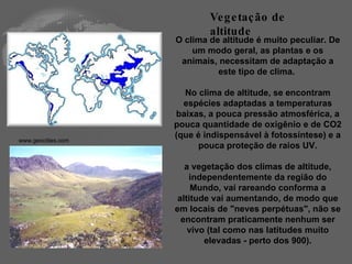 O clima de altitude é muito peculiar. De um modo geral, as plantas e os animais, necessitam de adaptação a este tipo de clima.  No clima de altitude, se encontram espécies adaptadas a temperaturas baixas, a pouca pressão atmosférica, a pouca quantidade de oxigênio e de CO2 (que é indispensável à fotossíntese) e a pouca proteção de raios UV. a vegetação dos climas de altitude, independentemente da região do Mundo, vai rareando conforma a altitude vai aumentando, de modo que em locais de "neves perpétuas", não se encontram praticamente nenhum ser vivo (tal como nas latitudes muito elevadas - perto dos 900). Vegetação de altitude www.geocities.com  