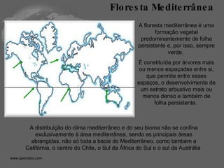 A floresta mediterrânea é uma formação vegetal predominantemente de folha persistente e, por isso, sempre verde.  É constituída por árvores mais ou menos espaçadas entre si, que permite entre esses espaços, o desenvolvimento de um estrato arbustivo mais ou menos denso e também de folha persistente.  Floresta Mediterrânea A distribuição do clima mediterrâneo e do seu bioma não se confina exclusivamente à área mediterrânea, sendo as principais áreas abrangidas, não só toda a bacia do Mediterrâneo, como também a Califórnia, o centro do Chile, o Sul da África do Sul e o sul da Austrália  www.geocities.com  