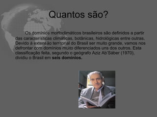 Quantos são? Os domínios morfoclimáticos brasileiros são definidos a partir das características climáticas, botânicas, hidrológicas entre outras. Devido à extensão territorial do Brasil ser muito grande, vamos nos defrontar com domínios muito diferenciados uns dos outros. Esta classificação feita, segundo o geógrafo Aziz Ab’Sáber (1970), dividiu o Brasil em  seis domínios. 