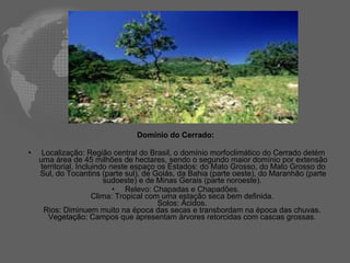 Domínio do Cerrado:  Localização: Região central do Brasil, o domínio morfoclimático do Cerrado detém uma área de 45 milhões de hectares, sendo o segundo maior domínio por extensão territorial. Incluindo neste espaço os Estados: do Mato Grosso, do Mato Grosso do Sul, do Tocantins (parte sul), de Goiás, da Bahia (parte oeste), do Maranhão (parte sudoeste) e de Minas Gerais (parte noroeste).   Relevo: Chapadas e Chapadões.  Clima: Tropical com uma estação seca bem definida.  Solos: Ácidos.  Rios: Diminuem muito na época das secas e transbordam na época das chuvas.  Vegetação: Campos que apresentam árvores retorcidas com cascas grossas.  