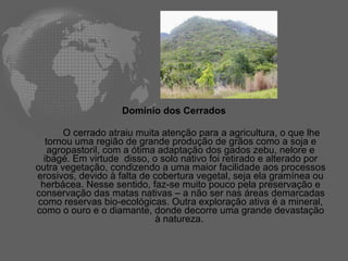 Domínio dos Cerrados O cerrado atraiu muita atenção para a agricultura, o que lhe tornou uma região de grande produção de grãos como a soja e agropastoril, com a ótima adaptação dos gados zebu, nelore e ibagé. Em virtude  disso, o solo nativo foi retirado e alterado por outra vegetação, condizendo a uma maior facilidade aos processos erosivos, devido à falta de cobertura vegetal, seja ela gramínea ou herbácea. Nesse sentido, faz-se muito pouco pela preservação e conservação das matas nativas – a não ser nas áreas demarcadas como reservas bio-ecológicas. Outra exploração ativa é a mineral, como o ouro e o diamante, donde decorre uma grande devastação à natureza.   