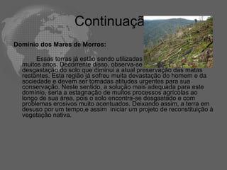 Continuação Domínio dos Mares de Morros:  Essas terras já estão sendo utilizadas economicamente há muitos anos. Decorrente disso, observa-se uma considerável desgastação do solo que diminui a atual preservação das matas restantes. Esta região já sofreu muita devastação do homem e da sociedade e devem ser tomadas atitudes urgentes para sua conservação. Neste sentido, a solução mais adequada para este domínio, seria a estagnação de muitos processos agrícolas ao longo de sua área, pois o solo encontra-se desgastado e com problemas erosivos muito acentuados. Deixando assim, a terra em desuso por um tempo,e assim  iniciar um projeto de reconstituição à vegetação nativa. 
