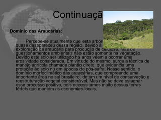 Continuação Domínio das Araucárias:  Percebe-se atualmente que esta arbórea ( as araucárias) quase desapareceu dessa região, devido à descontrolada exploração da araucária para produção de celulose. Mas os questionamentos ambientais não estão somente na vegetação. Devido este solo ser utilizado há anos vêem a ocorrer uma erosividade considerada. Em virtude do mesmo, surge a técnica de manejo agrícola chamada plantio direto, que evidencia uma proteção ao solo nu em épocas de pós-safra. Nesse sentido, o domínio morfoclimático das araucárias, que compreende uma importante área no sul brasileiro, detém um nível de conservação e reestruturação vegetal considerável. Mas não se deve estagnar esse processo positivo, pois necessitamos muito dessas terras férteis que mantém as economias locais.  