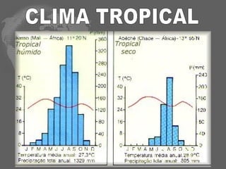 CLIMA TROPICAL 