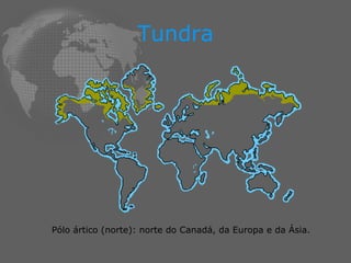 Tundra Pólo ártico (norte): norte do Canadá, da Europa e da Ásia. 