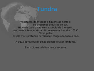 Tundra Vegetação de musgos e líquens ao norte e  de pequenos arbustos ao sul. Há neve todo o ano com exceção de 3 meses,  nos quais a temperatura não se eleva acima dos 10° C. Clima polar. O solo mais profundo permanece congelado todo o ano. A água aproveitável pelas plantas é fator limitante. É um bioma relativamente recente. 