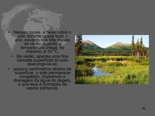 Nesses locais, a neve cobre o solo durante quase todo o ano, excepto nos três meses de verão, quando a temperatura chega, no máximo, a 10 °C. No verão, apenas uma fina camada superficial do solo desconge­la-se; poucos centímetros abaixo da superfície, o solo permanece congelado, impedindo a drenagem da água do degelo, o que leva à formação de vastos pântanos. 