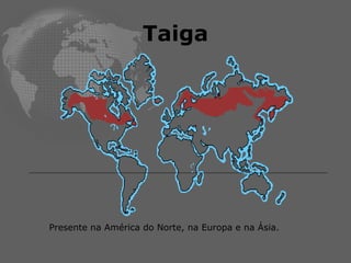 Taiga Presente na América do Norte, na Europa e na Ásia. 