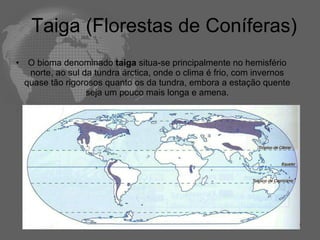 Taiga (Florestas de Coníferas) O bioma denominado  taiga  situa-se principalmente no hemisfério norte, ao sul da tundra árctica, onde o clima é frio, com invernos quase tão rigorosos quanto os da tundra, embora a estação quente seja um pouco mais longa e amena. 