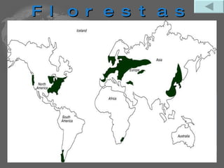 Florestas temperadas  É uma floresta constituída por árvores de  folha caduca , como os carvalhos, castanheiros e faias. É conhecida pela  floresta caducifólica. As raposas e as corujas são animais característicos destas zonas. No Verão ocorre algumas chuvas e o Inverno, pouco frio mas com chuva abundante. 