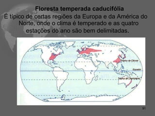 Floresta temperada caducifólia É típico de certas regiões da Europa e da América do Norte, onde o clima é temperado e as quatro estações do ano são bem delimitadas .  