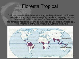 Floresta Tropical  O bioma denominado floresta tropical, também chamado de floresta pluvial tropical, localiza-se em regiões de clima quente e com alto índice pluviométrico, ou seja, na faixa equatorial da Terra.  Há florestas tropicais no norte da América do Sul (Bacia Amazónica), na América Central, na África, na Austrália e na Ásia. 