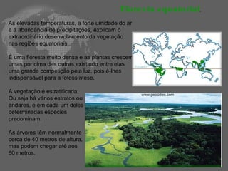 As elevadas temperaturas, a forte umidade do ar e a abundância de precipitações, explicam o extraordinário desenvolvimento da vegetação nas regiões equatoriais.  É uma floresta muito densa e as plantas crescem umas por cima das outras existindo entre elas uma grande competição pela luz, pois é-lhes indispensável para a fotossíntese. A vegetação é estratificada,  Ou seja há vários estratos ou  andares, e em cada um deles  determinadas espécies  predominam. As árvores têm normalmente  cerca de 40 metros de altura,  mas podem chegar até aos  60 metros. Floresta equatorial . www.geocities.com   