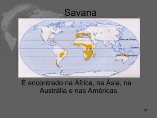 Savana É encontrado na África, na Ásia, na Austrália e nas Américas. 