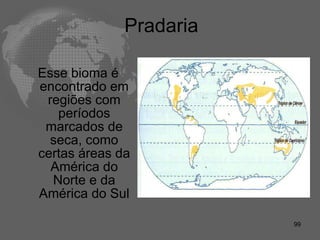 Pradaria  Esse bioma é encontrado em regiões com períodos marcados de seca, como certas áreas da América do Norte e da América do Sul 