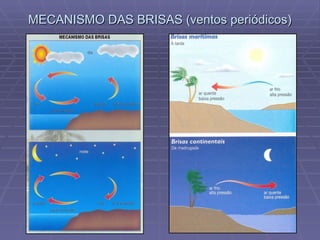 MECANISMO DAS BRISAS (ventos periódicos) 