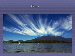 Cirrus 