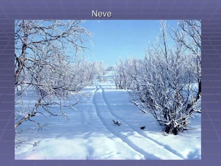 Neve 