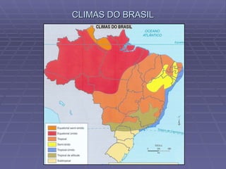 CLIMAS DO BRASIL 