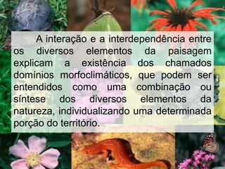 A interação e a interdependência entre
os diversos elementos da paisagem
explicam a existência dos chamados
domínios morfoclimáticos, que podem ser
entendidos como uma combinação ou
síntese dos diversos elementos da
natureza, individualizando uma determinada
porção do território.
 