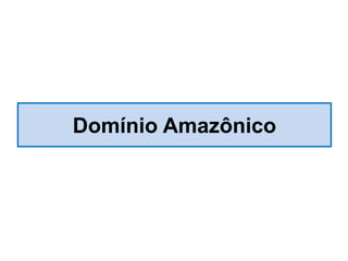 Domínio Amazônico
 