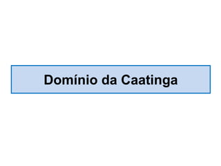 Domínio da Caatinga
 