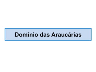 Domínio das Araucárias
 