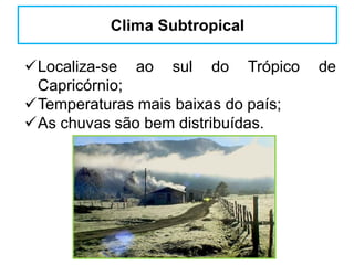 Localiza-se ao sul do Trópico de
Capricórnio;
Temperaturas mais baixas do país;
As chuvas são bem distribuídas.
Clima Subtropical
 