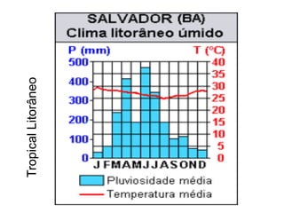 TropicalLitorâneo
 