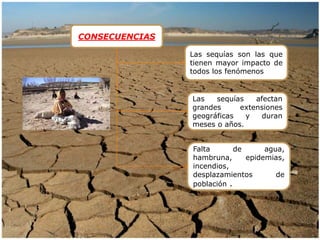 Las sequías son las que 
tienen mayor impacto de 
todos los fenómenos 
Las sequías afectan 
grandes extensiones 
geográficas y duran 
meses o años. 
Falta de agua, 
hambruna, epidemias, 
incendios, 
desplazamientos de 
población . 
CONSECUENCIAS 
 