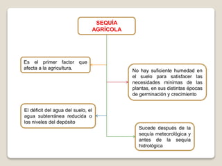 SEQUÍA 
AGRÍCOLA 
Sucede después de la 
sequía meteorológica y 
antes de la sequía 
hidrológica 
El déficit del agua del suelo, el 
agua subterránea reducida o 
los niveles del depósito 
No hay suficiente humedad en 
el suelo para satisfacer las 
necesidades mínimas de las 
plantas, en sus distintas épocas 
de germinación y crecimiento 
Es el primer factor que 
afecta a la agricultura. 
 