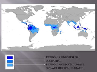 TROPICAL RAINFOREST OR
EQUITORIAL
TROPICAL MONSOON CLIMATE
DRY-WET TROPICAL CLIMATES
 
