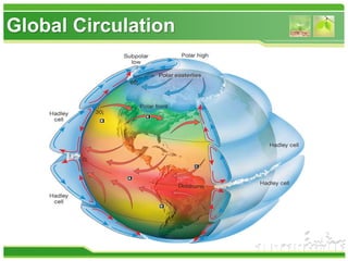 Global Circulation
 