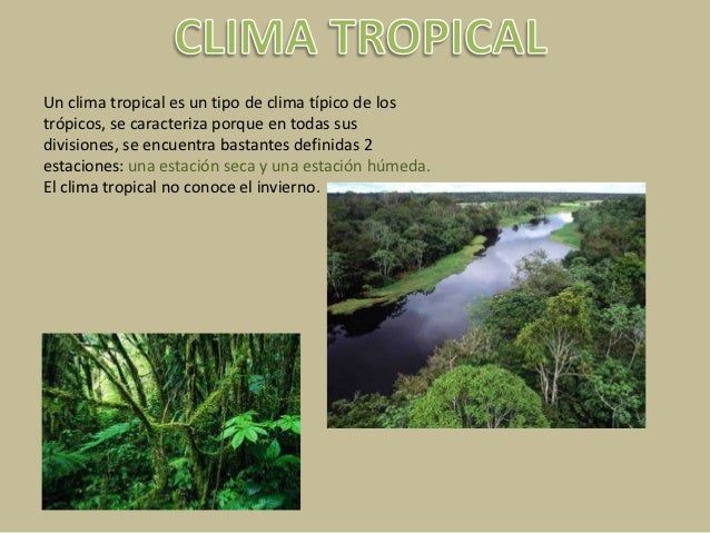 Clima tropical