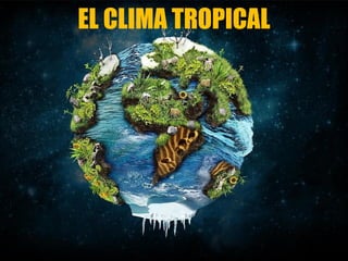 EL CLIMA TROPICAL
 