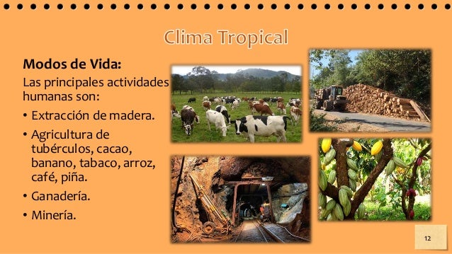 Imagen relacionada