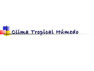 Clima Tropical HúmedoClima Tropical Húmedo
 