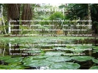 Climes i rius
•

Clima: les temperatures són elevades durant tot l’any. Les precipitacions
marquen dues principals estacions: a l’estiu les precipitacions
augmenten (estació humida) i disminueixen a l’hivern (estació seca).
Quan més gran és la latitud repecte a l’equador, més llarga és l’estació
seca.

•

Rius: a causa de l’augment i la disminució de les precipitacions, el cabal
dels rius varia molt durant les estacions. A l’estació seca els rius gairebé
no porten aigua, i augmenten notablement a l’epoca de les pluges.

 