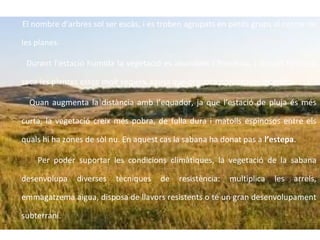 El nombre d’arbres sol ser escàs, i es troben agrupats en petits grups al centre de
les planes.
Durant l’estació humida la vegetació es abundant i frondosa, i durant l’estació
seca les plantes estan molt seques, causa que provoca nombrosos incendis.
Quan augmenta la distància amb l’equador, ja que l’estació de pluja és més
curta, la vegetació creix més pobra, de fulla dura i matolls espinosos entre els
quals hi ha zones de sòl nu. En aquest cas la sabana ha donat pas a l’estepa.
Per poder suportar les condicions climàtiques, la vegetació de la sabana
desenvolupa

diverses

tècniques

de

resistència:

multiplica

les

arrels,

emmagatzema aigua, disposa de llavors resistents o té un gran desenvolupament
subterrani.

 