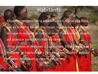 Habitants
Els pobles indígenes de la sabana com els massai i els mara,
que es troben a Kenya, practiquen la ramaderia extensiva,
tot i que la sequera de l’estació seca i l’ absència de pluges
pot provocar gana i dificultats als ramats.
Altres pobles es dediquen a l’agricultura. Els pobles que es
dediquen a l’agricultura i la ramaderia habiten poblats
estables i practiquen la rotació de conreus.

 