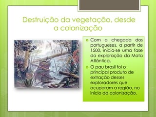 Destruição da vegetação, desde
         a colonização
                   Com a chegada dos
                    portugueses, a partir de
                    1500, inicia-se uma fase
                    da exploração da Mata
                    Atlântica.
                   O pau brasil foi o
                    principal produto de
                    extração desses
                    exploradores que
                    ocuparam a região, no
                    início da colonização.
 