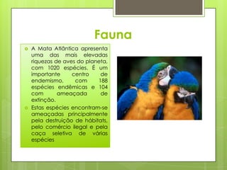 Fauna
   A Mata Atlântica apresenta
    uma das mais elevadas
    riquezas de aves do planeta,
    com 1020 espécies. É um
    importante     centro    de
    endemismo,      com     188
    espécies endêmicas e 104
    com       ameaçada       de
    extinção.
   Estas espécies encontram-se
    ameaçadas principalmente
    pela destruição de hábitats,
    pelo comércio ilegal e pela
    caça seletiva de várias
    espécies
 