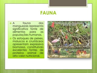 FAUNA
   A        fauna       dos
    manguezais representa
    significativa fonte de
    alimentos     para      as
    populações humanas.
   Os estoques de peixes,
    moluscos e crustáceos
    apresentam expressiva
    biomassa, constituindo
    excelentes fontes de
    proteína animal de
    alto valor nutricional.
 