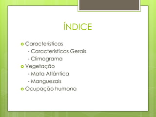 ÍNDICE
 Características
   - Características Gerais
   - Climograma
 Vegetação
   - Mata Atlântica
   - Manguezais
 Ocupação humana
 