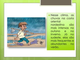  Nesse   clima, as
 chuvas na costa
 oriental
 nordestina     são
 mais intensas no
 outono      e   no
 inverno. Já no
 sudeste, elas são
 mais frequentes e
 abundantes no
 verão.
 