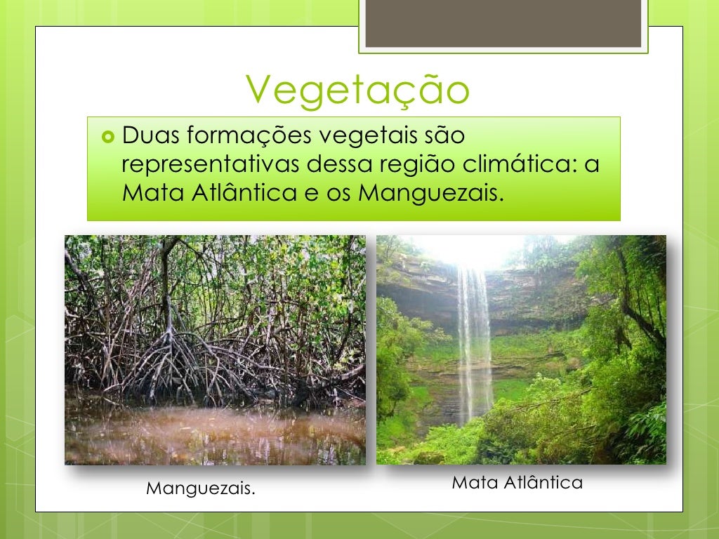 01 Discorra Sobre As Principais Características Do Clima Tropical