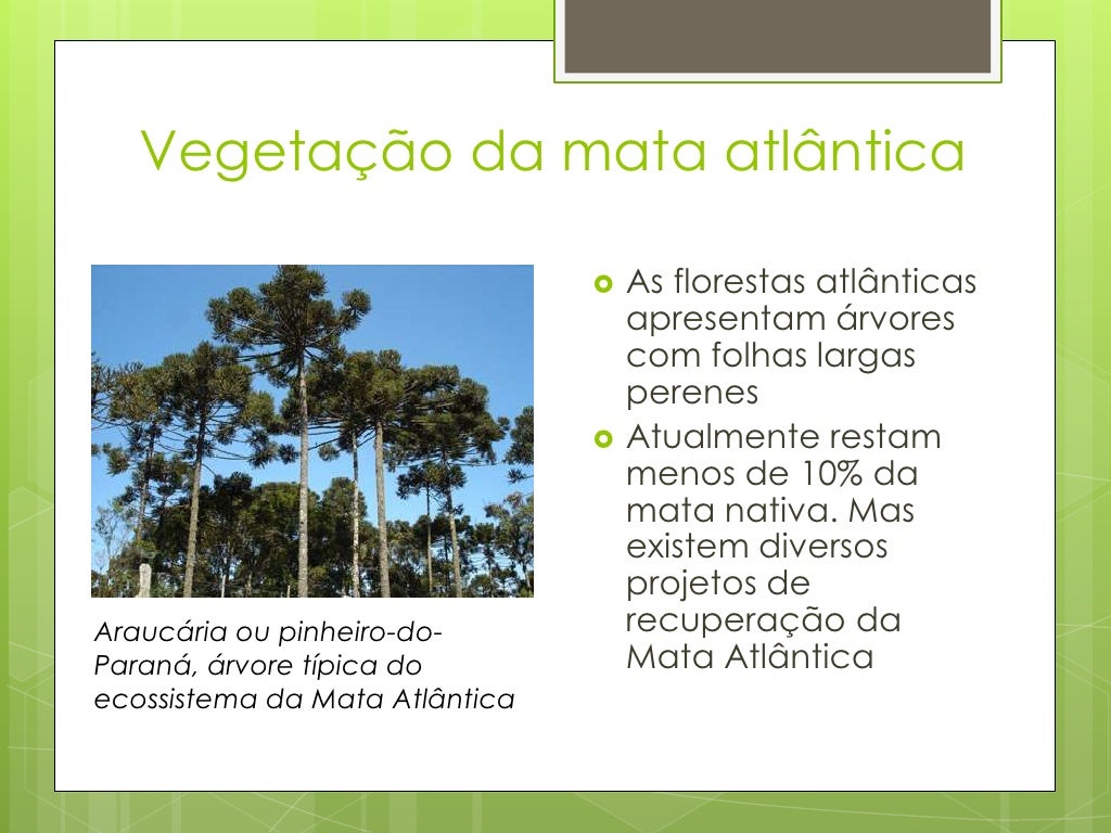01 Discorra Sobre As Principais Características Do Clima Tropical