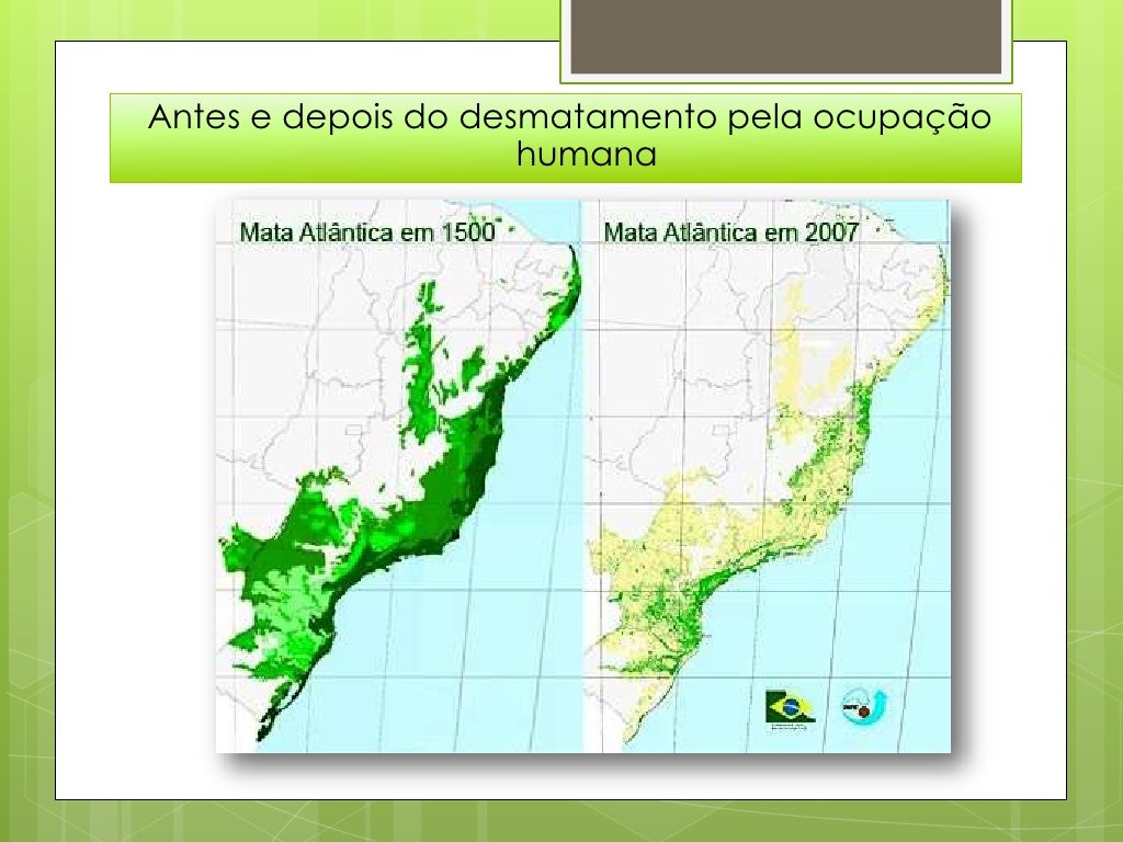 01 Discorra Sobre As Principais Características Do Clima Tropical