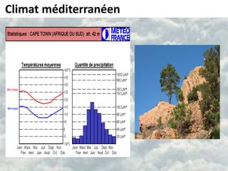 Climat méditerranéen
 